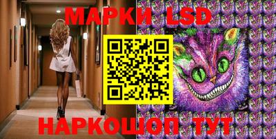 сатива Новозыбков