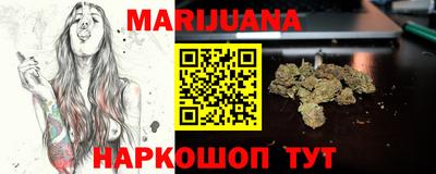 сатива Новозыбков