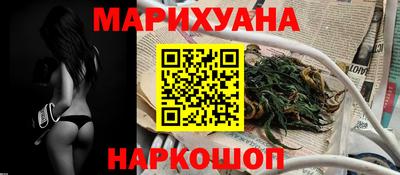 сатива Новозыбков