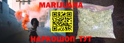 сатива Новозыбков