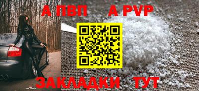 сатива Новозыбков