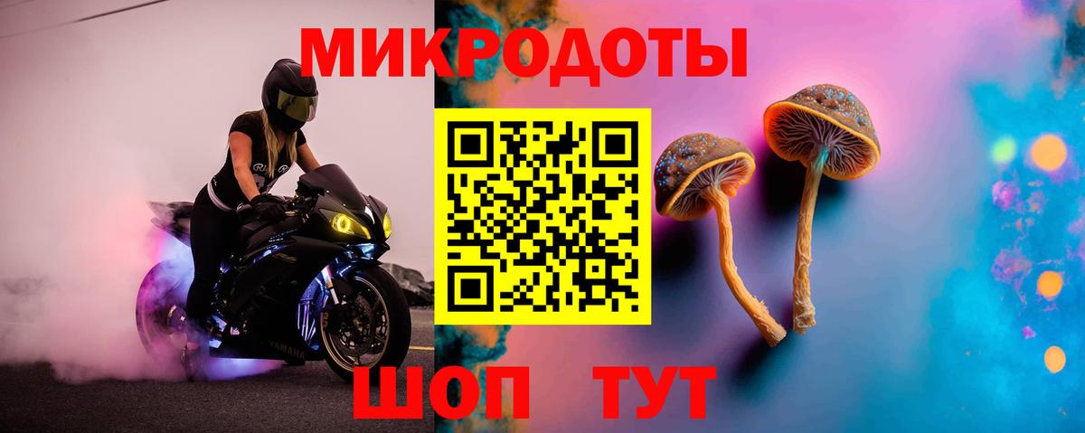 Чистополь  Псилоцибиновые грибы мухоморы  Галлюциногенные грибы MAGIC MUSHROOMS  как найти закладки  Вход с VPN 